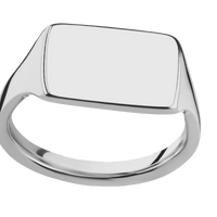 Medium Horizontal Rectangle signet ring (16x11.5mm) in Titanium, with a Thin style band.