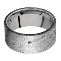 Meteorite + None Finish + Titanium