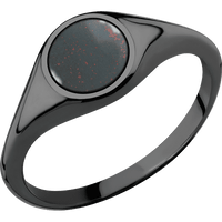 Circle Black Titanium Signet Ring / Polish Ring Finish and Polish Signet Finish / Blood Stone Inlay with Semi-Precious Polish Finish / Size 8.5