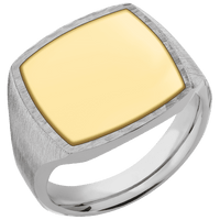 Cushion Titanium Signet Ring / Satin Ring Finish and Hammer Signet Finish / 14k Yellow Gold Inlay with Polish Finish / Size 13