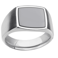 Medium Cushion signet ring (14x14mm) in Cobalt Chrome, with a Wide style band, a Tantalum inlay.