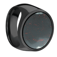 Extra Large Circle signet ring (22mm ) in Zirconium, with a Wide style band, a Blood Stone inlay.