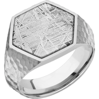 Large Hexagon signet ring (18.5x16mm) in Palladium Silver, with a Wide style band, a Meteorite inlay.
