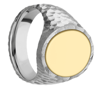 Large Oval signet ring (20x16mm) in Palladium Silver, with a Wide style band, a 14K Yellow Gold inlay.