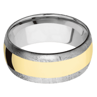 Meteorite + None Finish + Titanium