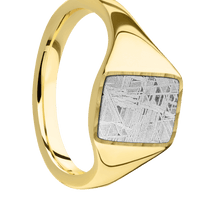 Small Rectangle signet ring (12x9mm) in 10K Yellow Gold, with a Thin style band, a Meteorite inlay.