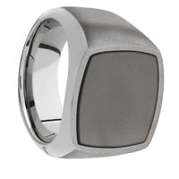 Cushion Titanium Signet Ring / Sand Blast Ring Finish and Sand Blast Signet Finish / Darkened Tantalum Inlay with Sand Blast Finish / Size 8.5