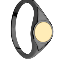 Circle Black Zirconium Signet Ring / Polish Ring Finish and Polish Signet Finish / 14k Yellow Gold Inlay with Polish Finish / Size 8.5