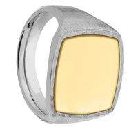 Cushion Titanium Signet Ring / Satin Ring Finish and Hammer Signet Finish / 14k Yellow Gold Inlay with Polish Finish / Size 13