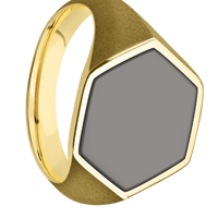 Large Hexagon signet ring (18.5x16mm) in 10K Yellow Gold, with a Thin style band, a Tantalum Noir inlay.