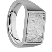 Medium Horizontal Rectangle signet ring (16x11.5mm) in Titanium, with a Wide style band, a Meteorite inlay.