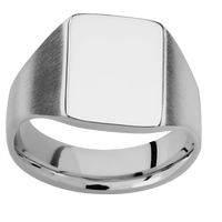 Medium Rectangle signet ring (16x11.5mm) in Titanium, with a Wide style band.