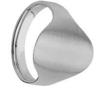 Large Oval signet ring (20x16mm) in Titanium, with a Cigar style band.