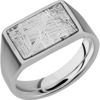 Medium Horizontal Rectangle signet ring (16x11.5mm) in Titanium, with a Wide style band, a Meteorite inlay.