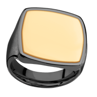 Extra Large Cushion signet ring (22x22mm) in Zirconium, with a Thin style band, a 14K Yellow Gold inlay.