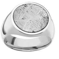 Large Circle signet ring (18mm) in Platinum, with a Wide style band, a Meteorite inlay.