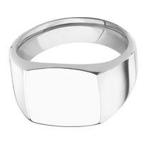 Cushion 10k White Gold Signet Ring / Polish Ring Finish and Polish Signet Finish / Size 10