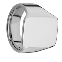 Large Rectangle signet ring (20x14.5mm) in Titanium, with a Wide style band.