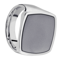 Extra Large Cushion signet ring (22x22mm) in Palladium Silver, with a Thin style band, a Tantalum inlay.