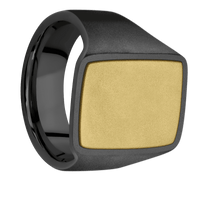 Large Rectangle signet ring (20x14.5mm) in Zirconium, with a Wide style band, a 14K Yellow Gold inlay.