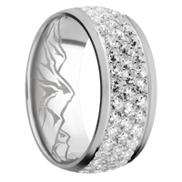 Palladium Silver + Satin Finish