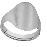 Large Oval signet ring (20x16mm) in Titanium, with a Cigar style band.