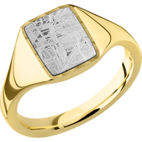 Small Rectangle signet ring (12x9mm) in 10K Yellow Gold, with a Thin style band, a Meteorite inlay.