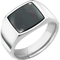 Medium Cushion signet ring (14x14mm) in Cobalt Chrome, with a Wide style band, a Blood Stone inlay.