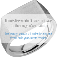Medium Horizontal Rectangle signet ring (16x11.5mm) in Titanium, with a Wide style band, an Aventurine inlay.