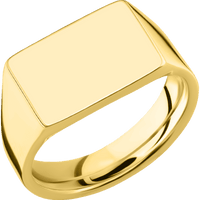 Medium Horizontal Rectangle signet ring (16x11.5mm) in 10K Yellow Gold, with a Wide style band.