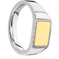 Small Horizontal Rectangle signet ring (12x9mm) in Palladium Silver, with a Wide style band, a 14K Yellow Gold inlay.
