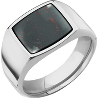 Medium Cushion signet ring (14x14mm) in Titanium, with a Wide style band, a Blood Stone inlay.