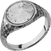 Medium Circle signet ring (14mm) in Platinum, with a Thin style band, a Meteorite inlay.