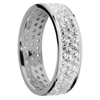 Titanium + Polish Finish