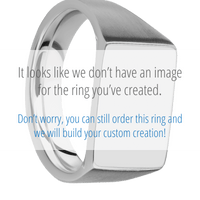 Medium Horizontal Rectangle signet ring (16x11.5mm) in Titanium, with a Wide style band, a Blood Wood inlay.