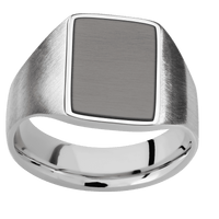 Medium Rectangle signet ring (16x11.5mm) in Palladium Silver, with a Wide style band, a Tantalum Noir inlay.