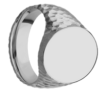 Large Oval signet ring (20x16mm) in Titanium, with a Wide style band.