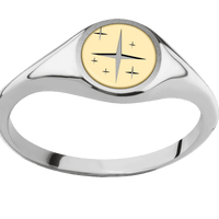 Small Circle signet ring (10mm) in Palladium Silver, with a Thin style band, a 18K Yellow Gold inlay and a TWINKLE2 engraving.