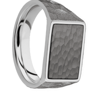 Medium Horizontal Rectangle signet ring (16x11.5mm) in Titanium, with a Wide style band, a Tantalum Noir inlay.