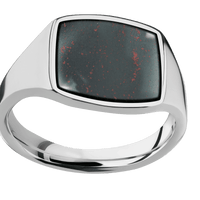 Medium Cushion signet ring (14x14mm) in Titanium, with a Thin style band, a Blood Stone inlay.