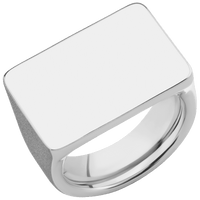 Extra Large Horizontal Rectangle signet ring  in Platinum, with a Wide style band.
