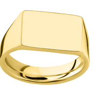 Medium Horizontal Rectangle signet ring (16x11.5mm) in 10K Yellow Gold, with a Wide style band.