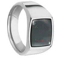 Medium Cushion signet ring (14x14mm) in Titanium, with a Wide style band, a Blood Stone inlay.