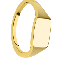 Small Horizontal Rectangle signet ring (12x9mm) in 14K Yellow Gold, with a Thin style band.