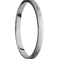 Meteorite + None Finish + Titanium