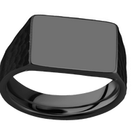 Medium Horizontal Rectangle signet ring (16x11.5mm) in Zirconium, with a Wide style band.