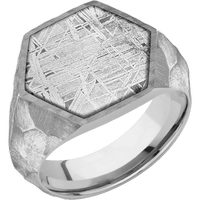 Large Hexagon signet ring (18.5x16mm) in Titanium, with a Wide style band, a Meteorite inlay.