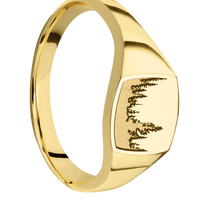 Small Cushion signet ring (10x10mm) in 10K Yellow Gold, with a Thin style band and a Trees engraving.