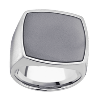 Extra Large Cushion signet ring (22x22mm) in Palladium Silver, with a Wide style band, a Tantalum inlay.