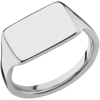Medium Horizontal Rectangle signet ring (16x11.5mm) in Titanium, with a Thin style band.
